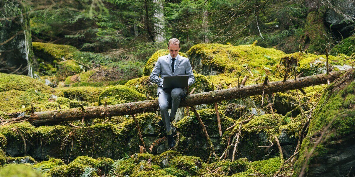 Ein Unternehmer sitzt mit Laptop im Wald - ein Symbol für nachhaltiges Wirtschaften